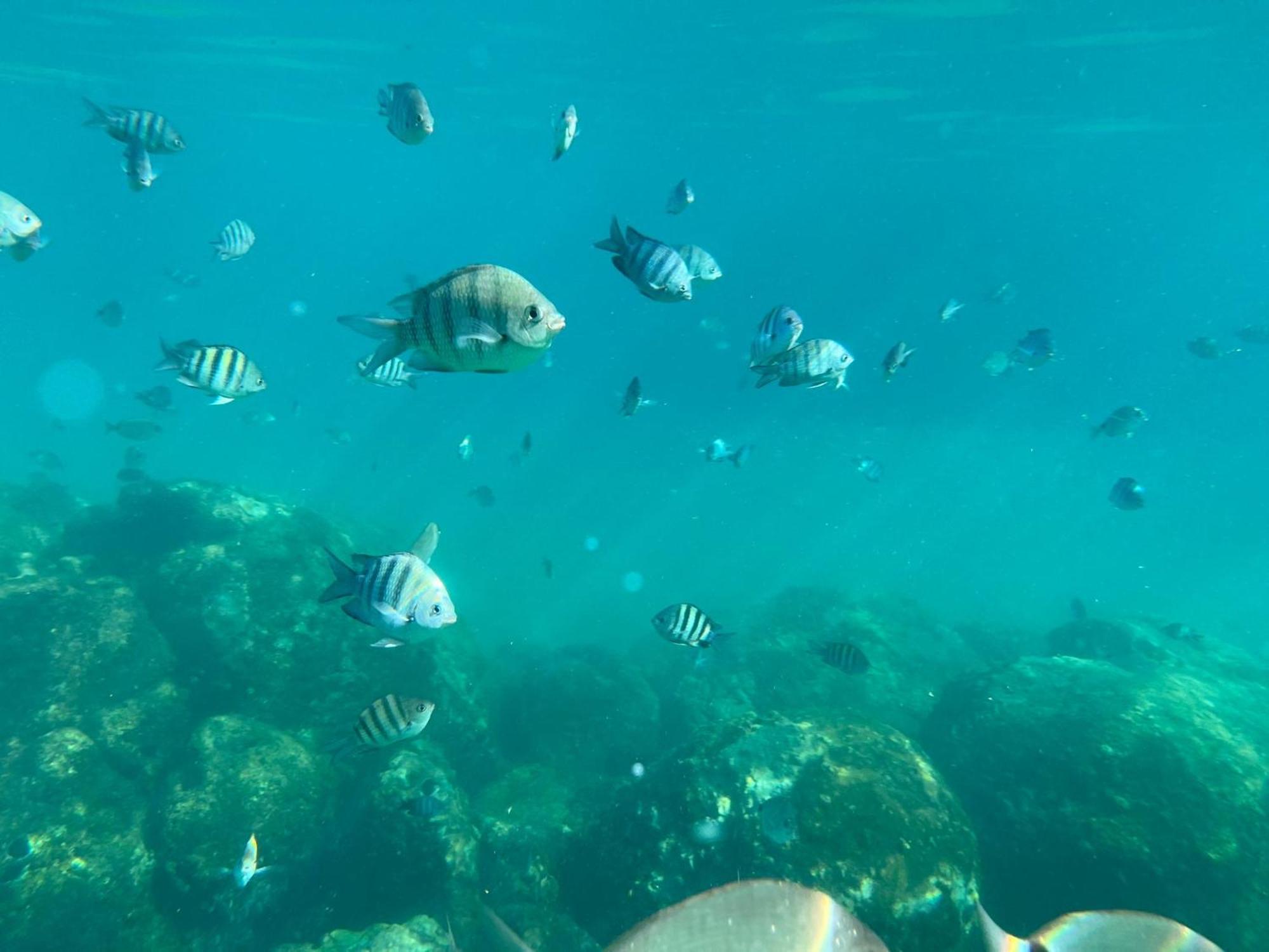 Cabana Do Mar Angra dos Reis Ngoại thất bức ảnh
